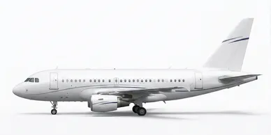 2009 Airbus A318 Elite