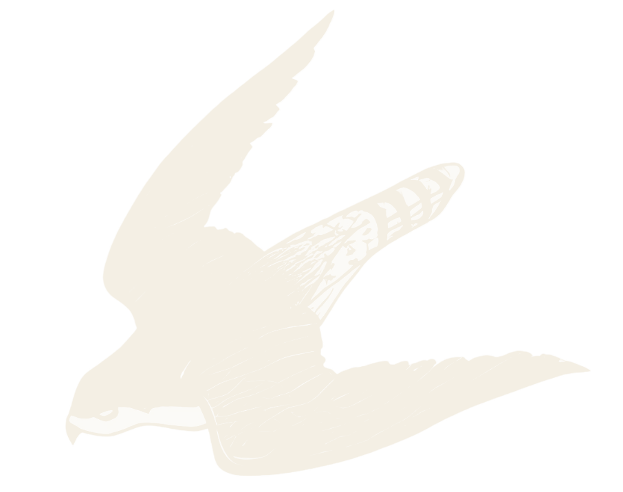 Tangmere Aircraft Sales emblem